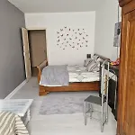 120 M² Duplex Coeur Historique Au Calme Le Puy-en-Velay
