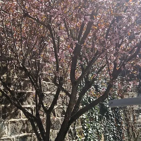 Апартаменты 120 M² Duplex Coeur Historique Au Calme